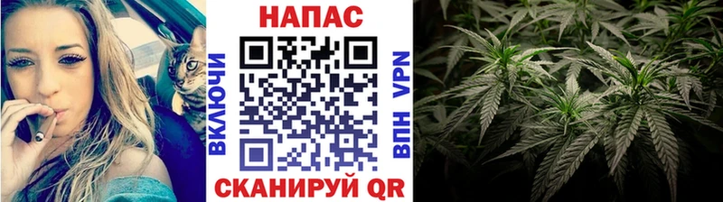 Шишки марихуана марихуана  дарнет шоп  Шенкурск 